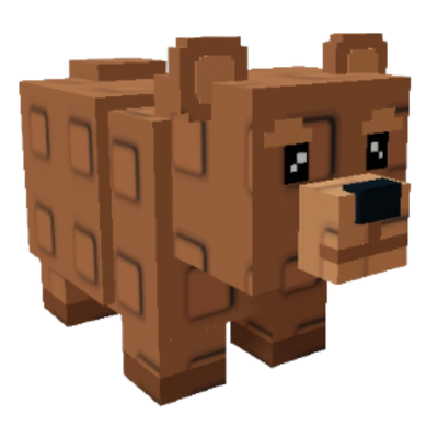 Bear
