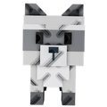 Raccoon
