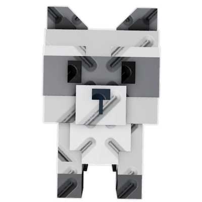 Raccoon
